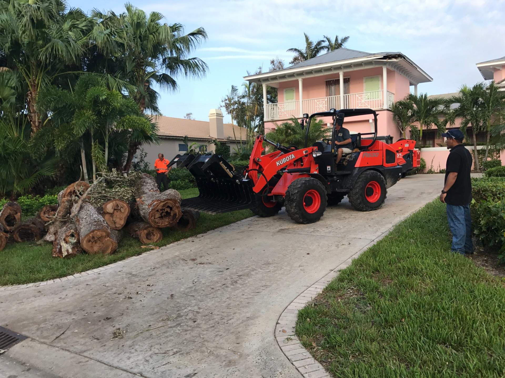 Downed tree chopped up in front of house being removed