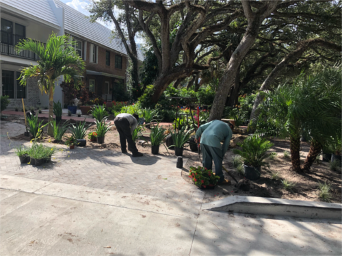 Two men landscaping with potted plants in the foreground, trees in the background