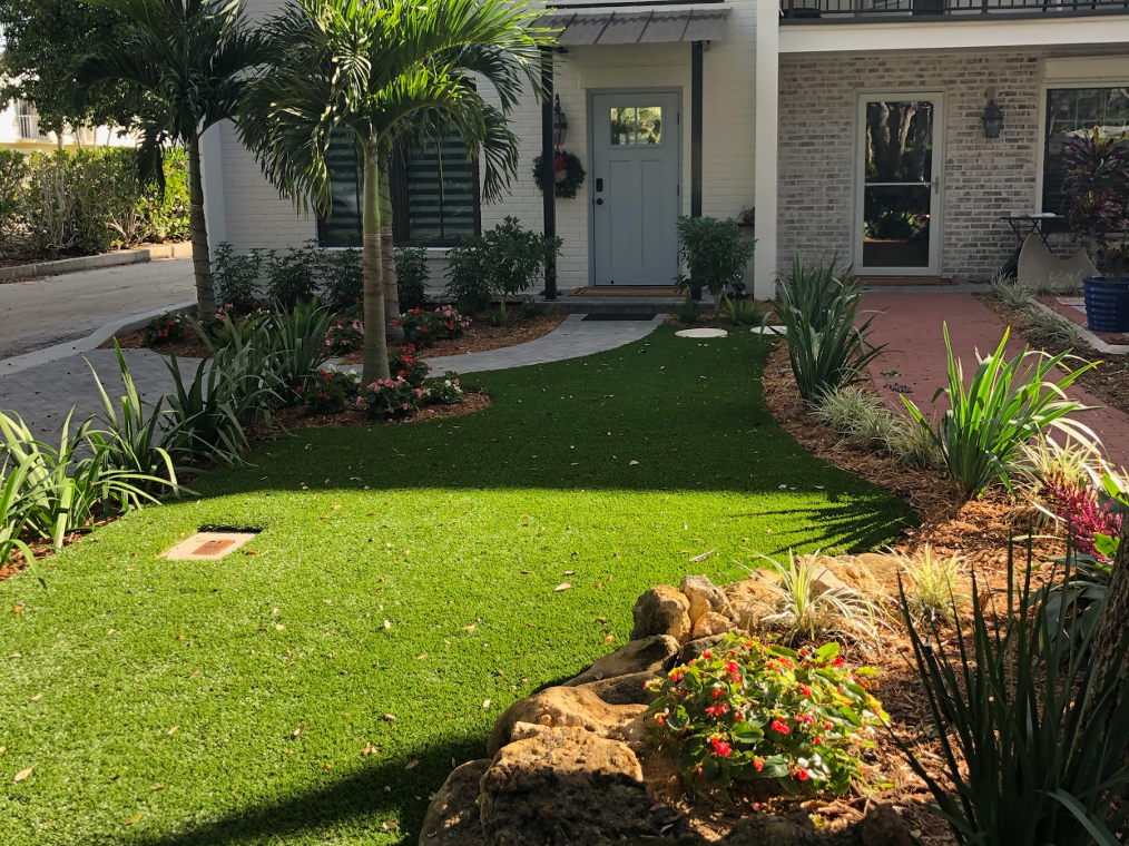 House view from the front with a palm tree and flowers