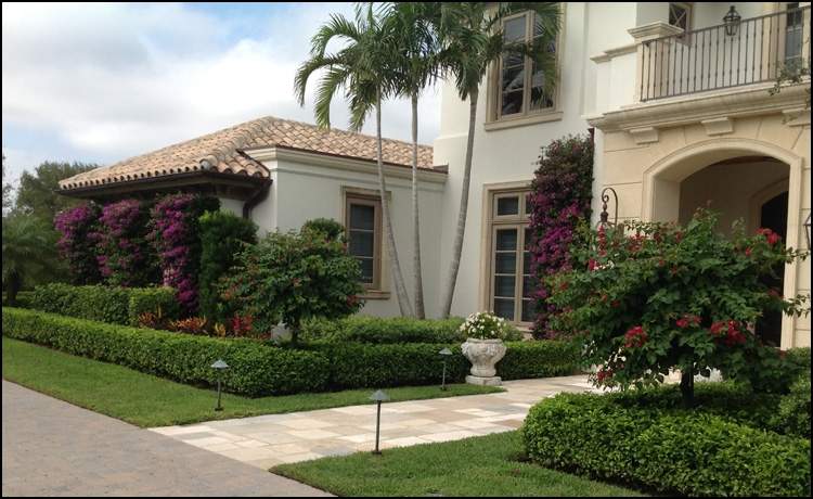 Hedges in front of building