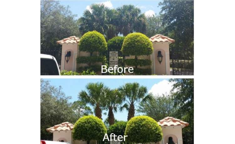 Before and after landscape pictures