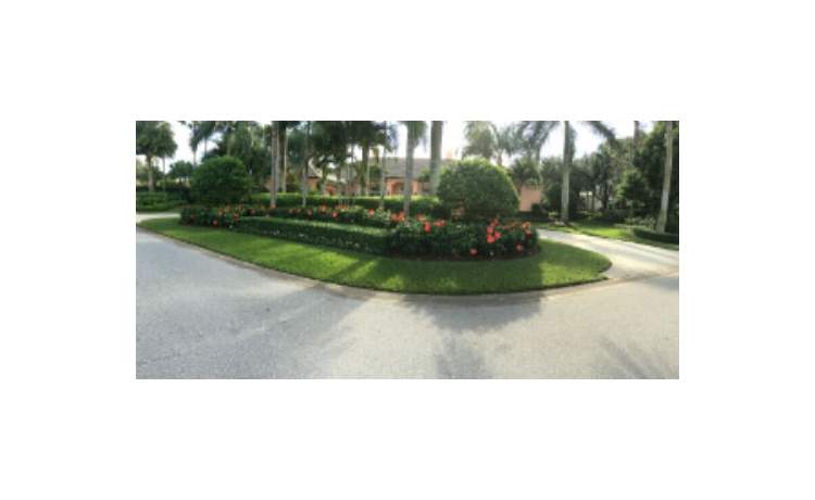 Front lawn with hibiscus flowers and trees